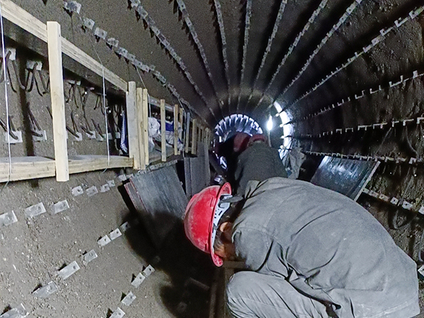 ������D�Gʩ���F��